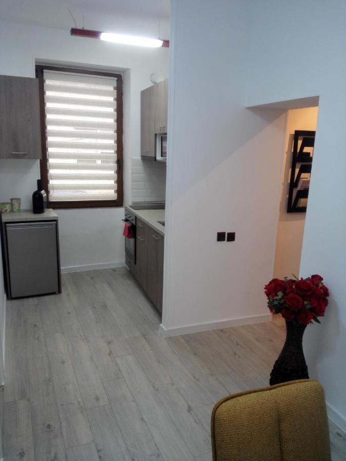 A. Einstein 9A Apartament คลูจ-นาโปกา ห้อง รูปภาพ